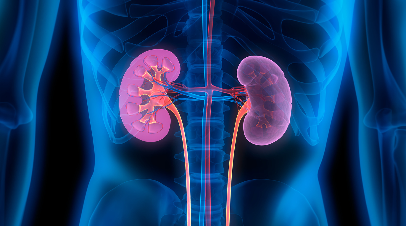 Best Kidney & Nephrology Hospital in Bhopal With Best Clinical Expert Team