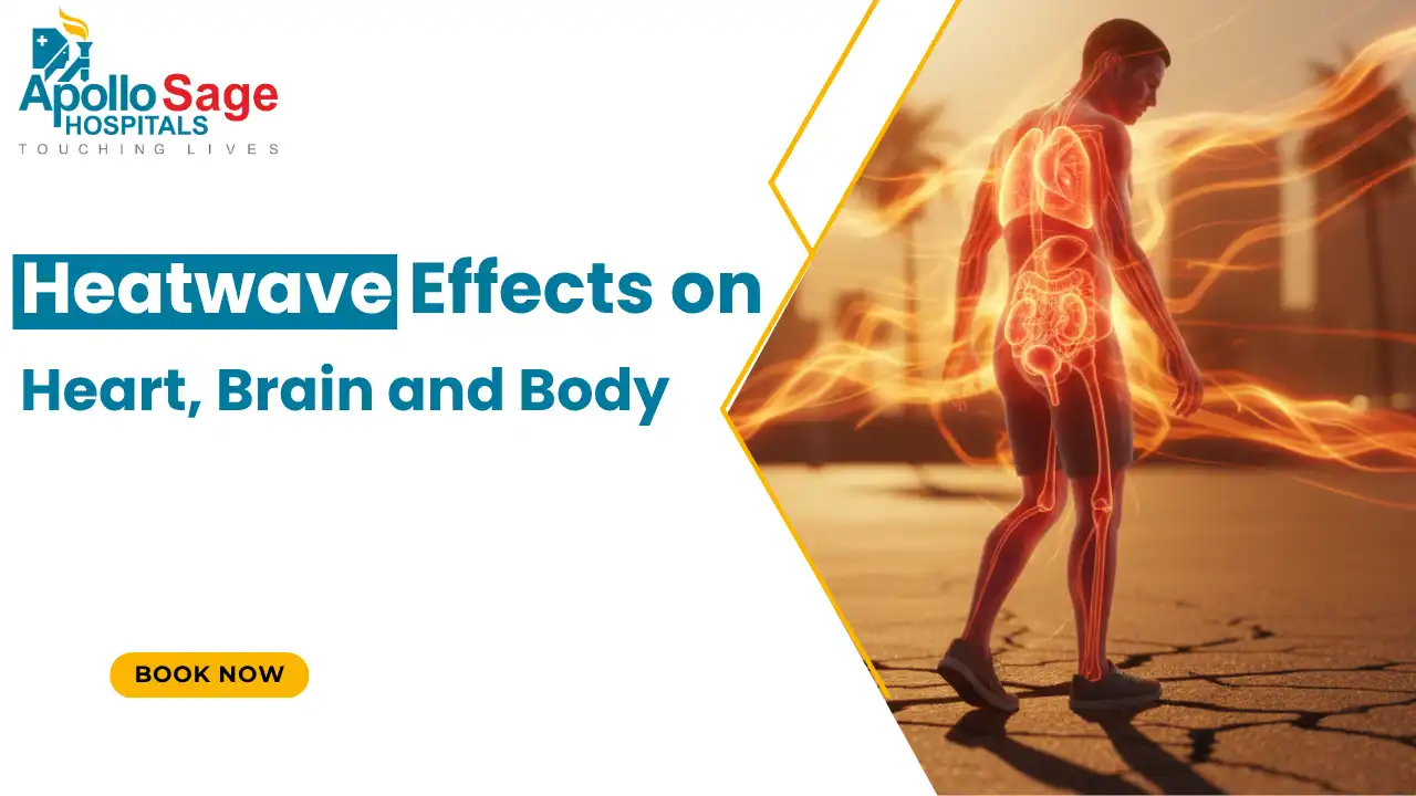 Heatwave Effects on Heart, Brain and Body