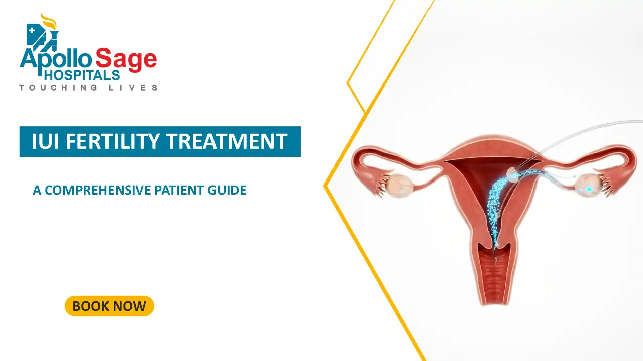 IUI Fertility Treatment : A Comprehensive Patient Guide