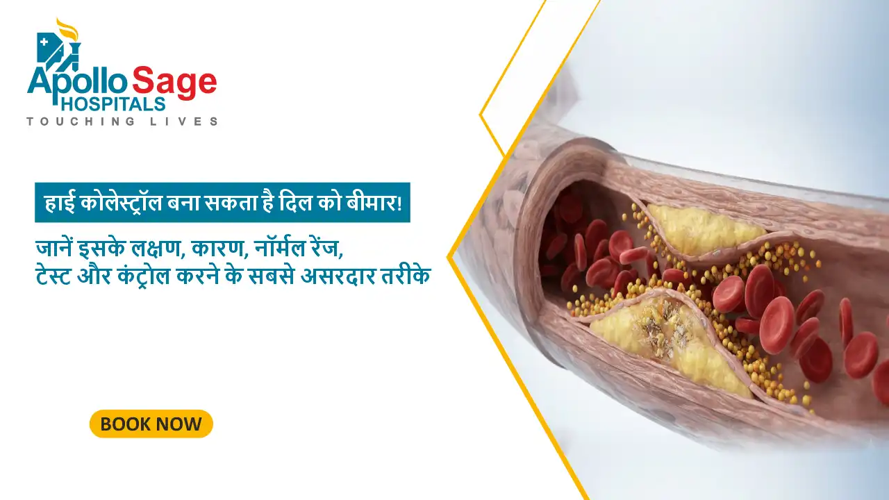 हाई कोलेस्ट्रॉल बना सकता है दिल को बीमार! जानें इसके लक्षण, कारण, नॉर्मल रेंज, टेस्ट और कंट्रोल करने के सबसे असरदार तरीके